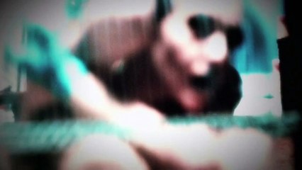 American Horror Story - "Caged" Teaser (2014) Freak Show