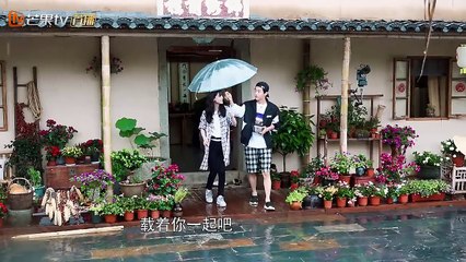 《向往的生活》本周看点：蘑菇屋齐聚三位小提琴高手决一高下！H3神助攻，只为BABY多留意他一点Back to Field S02【湖南卫视官方频道】