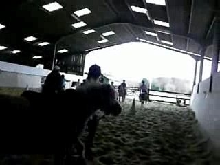 cours pony-games à Mastaing