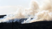 Large wildfire breaks out in Northern Ireland
