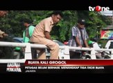 Petugas Belum Berhasil Tangkap 3 Buaya di Kali Grogol