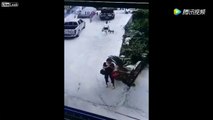 فيديو بيك أب يدهس فتاتين وسط محاولة كلبهما إنقاذهما