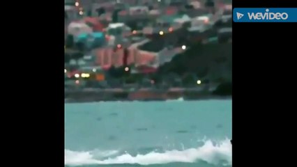 شاهد مايكل فيلبس السباح العالمي يسابق قرشاً أبيض.. هل تتوقع النهاية!