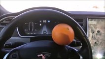 فيديو برتقالة تقود سيارة تيسلا على طريق سريع