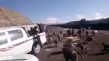 فيديو قرود تهجم على سيارة وتغلق الطريق بشكل غريب