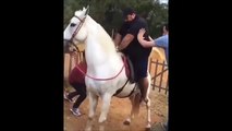 فيديو لم يتحمل الحصان وزن راكبه فعاقب الرجل بطريقة مؤلمة!