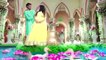 فيديو حفل زفاف على طريقة بوليوود بتكلفة خيالية يثير موجة غضب في الهند