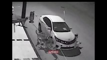 فيديو كلاب ضالة تنهش سيارة في الصين وتحطمها