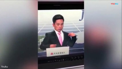 فيديو.. مذيع تلفزيوني يتعرض لموقف محرج جداً بسبب "نحلة"