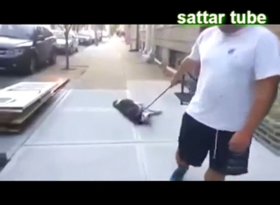 كلب يرفض الرجوع مع صاحبه إلى المنزل فيلجأ لهذه...