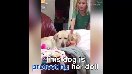 شاهد.. كلبة أليفة تعتني بـ"دمية" بشكل لا يُصدق اعتقاداً أنها طفل حقيقي