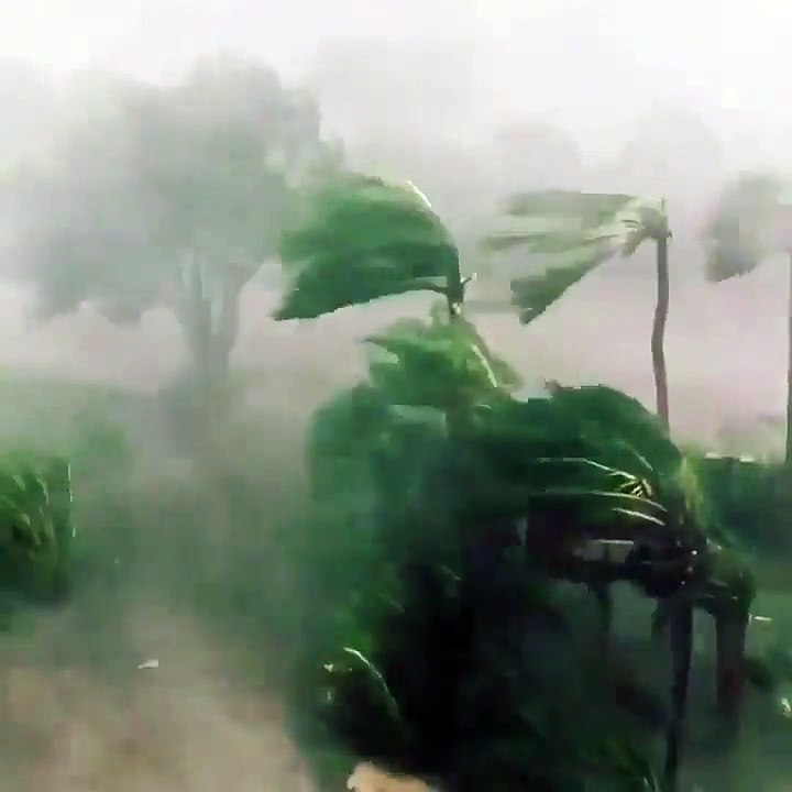 اعصار 4