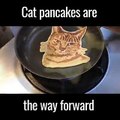 فيديو لعشاق القطط مطعم يقدم بان كيك بصور هررة بوضعيات مختلفة