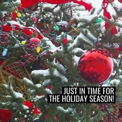 فيديو KFC تشارك في احتفالات الكريسماس بصندوق مليء بالمفاجآت