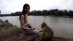 FUNNY monkey playing with girls - Funny girl Give food to monkey