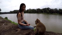 FUNNY monkey playing with girls - Funny girl Give food to monkey