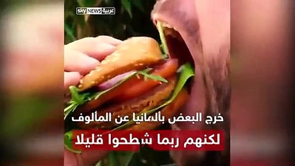 شاهد: برجر بالديدان يلاقي رواجًا كبيرًا في ألمانيا.. ما سر هذا؟