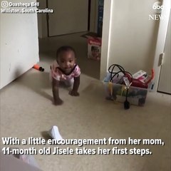 طفلة عمرها 11 شهراً تخطو أولى خطواتها بعد تشجيع والدتها.. فيديو