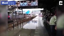 فيديو: قطار يتسبب في حالة فوضى عارمة أثناء مروره في محطة.. والسبب؟!