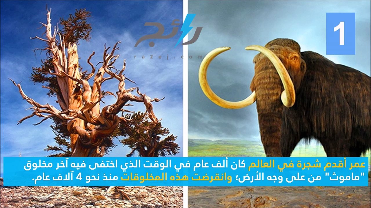 10 حقائق مثيرة للدهشة ستغير نظرتك لتاريخ العالم
