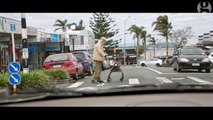 فيديو: شرطة نيوزيلندا تطلب ضباطاً للعمل معها بهذه الطريقة الكوميدية
