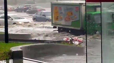 شاهد السيارات تسبح في سيول جدة السعودية