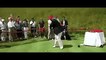 فيديو غريب ترامب يضرب هيلاري كلينتون بكرة الغولف