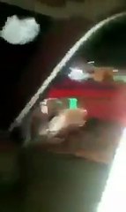 فيديو شباب سعوديون يطاردون الاماراتية كشونه ويدعونها على العشاء !