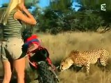 ناشيونال جيوغرافيك تشتري فيديو لفتاة بين النمور في الغابة بمليون دولار