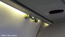 فيديو .. ثعبان يثير الرعب على متن طائرة!