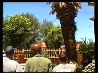 فيديو أشجار تسقط على السيارات بعنف نتيجة قلة خبرة من يقطعها