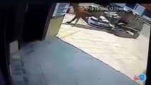 فيديو عربة يجرها حصان تحطم سيارة فولكس واجن باسات كالأفلام الهندية