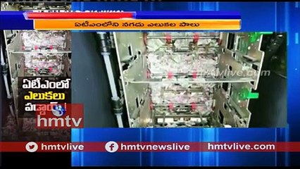 فأر يأكل أموال ماكينة سحب