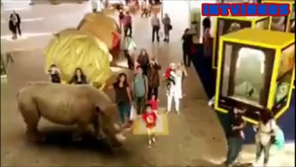 فيديو حديقة يابانية مدهشة بتقنية 7D: ستشعر أنك تعيش بين الحيوانات!