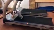 فيديو طريف جداً لطفل يجرب آلة الجري لأول مرة