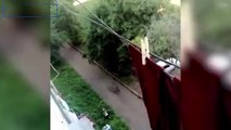 فيديو معجزة تنقذ رضيعاً سقط من نافذة من الطابق الخامس
