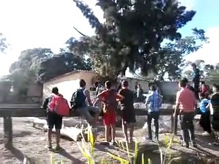 فيديو أطفال يركبون وحيد القرن في حديقة الحيوانات التونسية