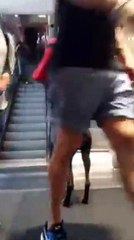 كلب يقف أمام السلم الكهربائي في انتظار وصول صاحبه