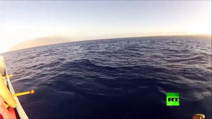 فيديو للحظة اصطدام حوت بأحد القوارب في أمريكا