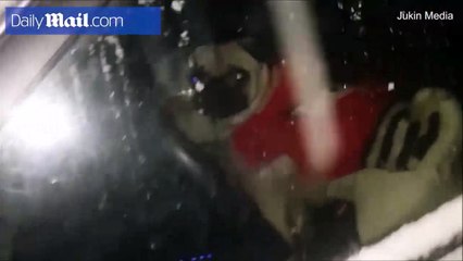 شاهد بالفيديو.. كلب أليف يساعد مالكته على التخلص من مأزق مزعج