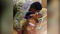 كلب غيور يحاول منع صاحبه من تقبيل طفله الرضيع.. فيديو