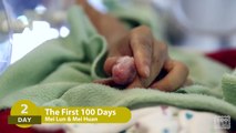 فيديو يكشف كيف يتغير شكل دب الباندا خلال أول 100 يوم في حياته