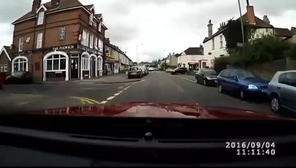 قط غاية في الانضباط يطبق قواعد المرور.. شاهدوا الفيديو