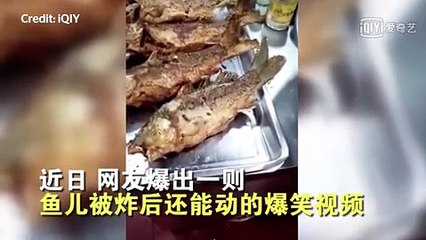فيديو سمكة لا تزال حية حتى بعد قليها بالزيت