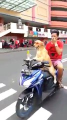 لن تصدق من يريد قيادة الدراجة