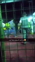 شاهد: أسد يهجم على طفلة في السعودية!