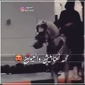 فتاة خليجية تثير الجدل في الكويت.. ما علاقة الخيل بالأمر؟