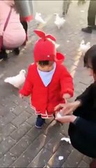 بالفيديو: لأول مرة طفلة تسرق الطعام من عصفور لكي تأكل