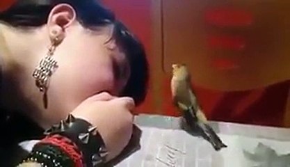 تظاهرت أمام عصفور بالبكاء...شاهد رد فعله