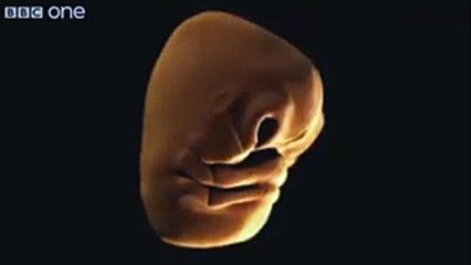 فيديو مذهل لـ مراحل تطور الوجه البشري